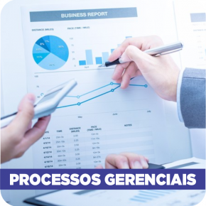 Processos Gerenciais Ead Univinte